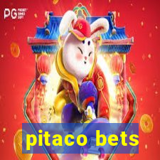 pitaco bets